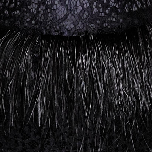 BEBE Dress with Ostrich Feathers - Picture 4 of 4